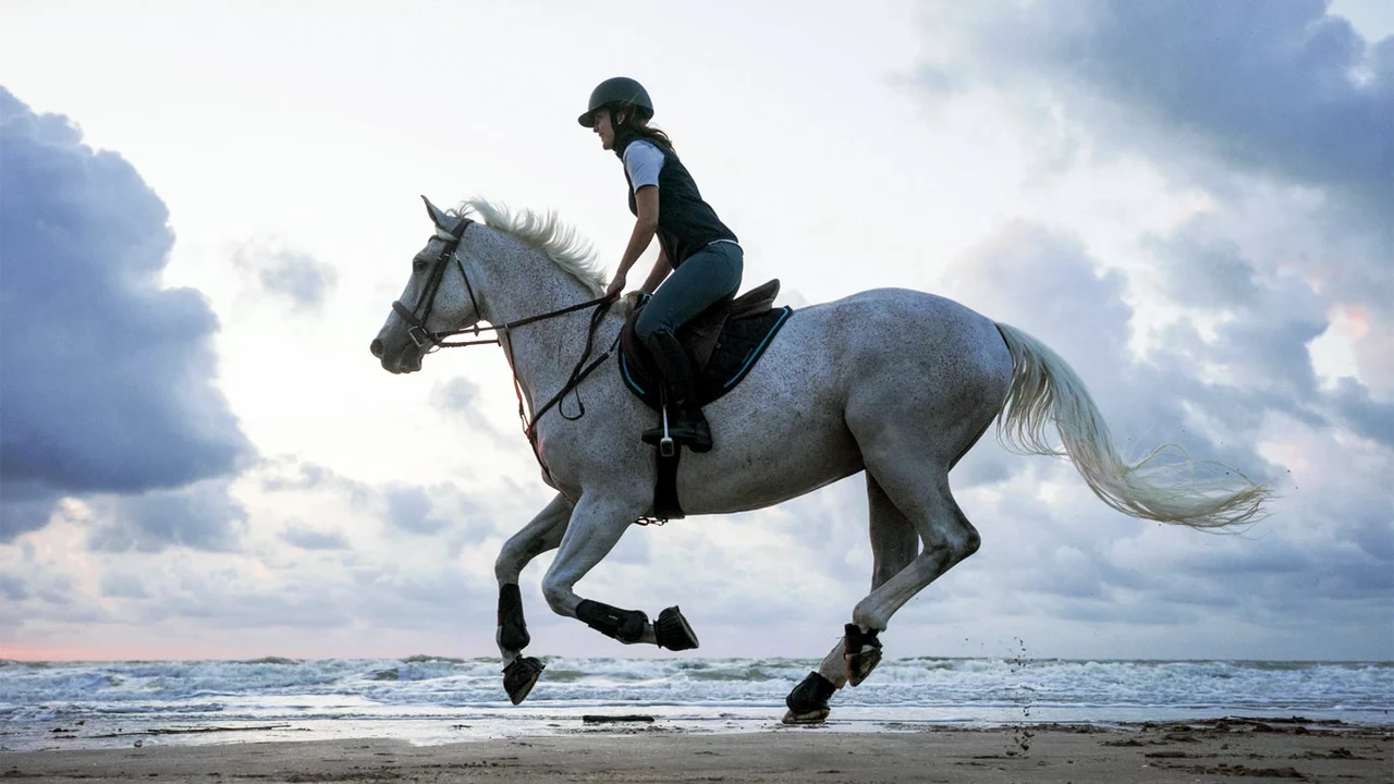 Does riding a horse make you feel powerful? In what way?